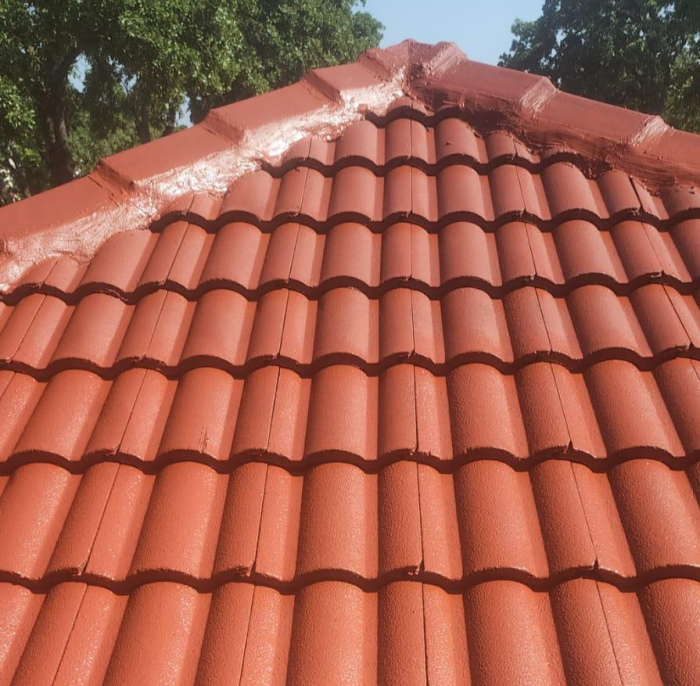 Close-up of red terracotta roof tiles with trees