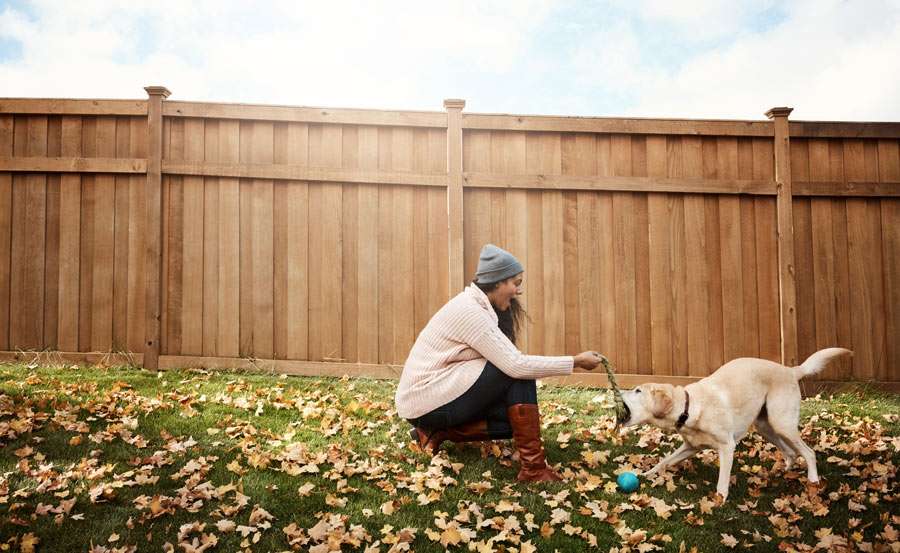 Woman playing with dog in autumn backyard